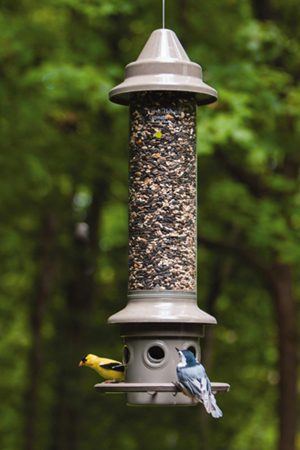 WBU Eliminator Squirrel Proof Feeder, Wild Birds Unlimited, WBU